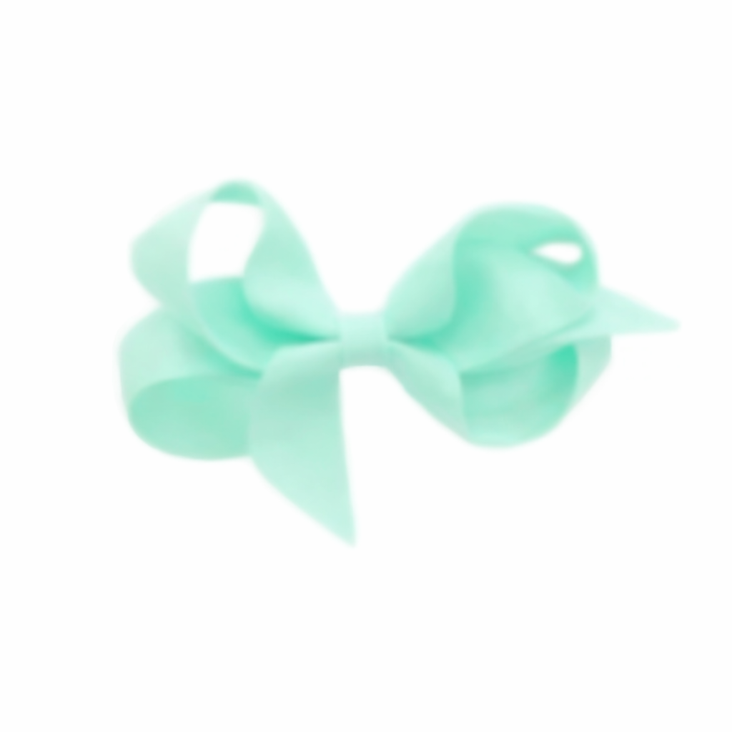 Precious Satin bows 2 مشبك شعر عدد ٢