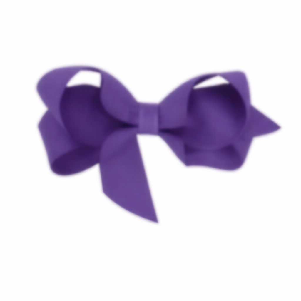 Precious Satin bows 2 مشبك شعر عدد ٢